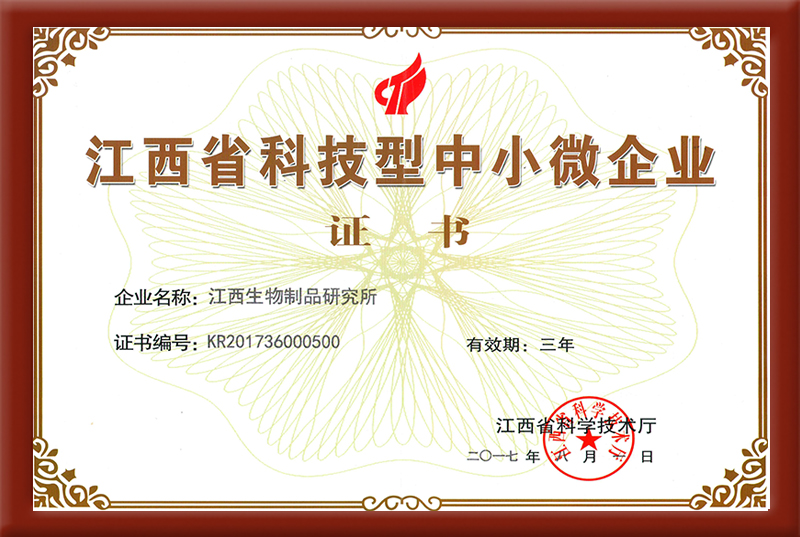 江西省科技型中小微企业证书（2017-2020年）